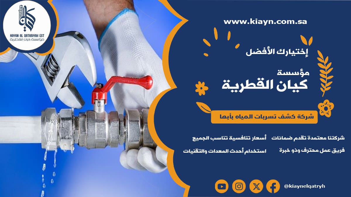 شركة كشف تسربات المياه بابها